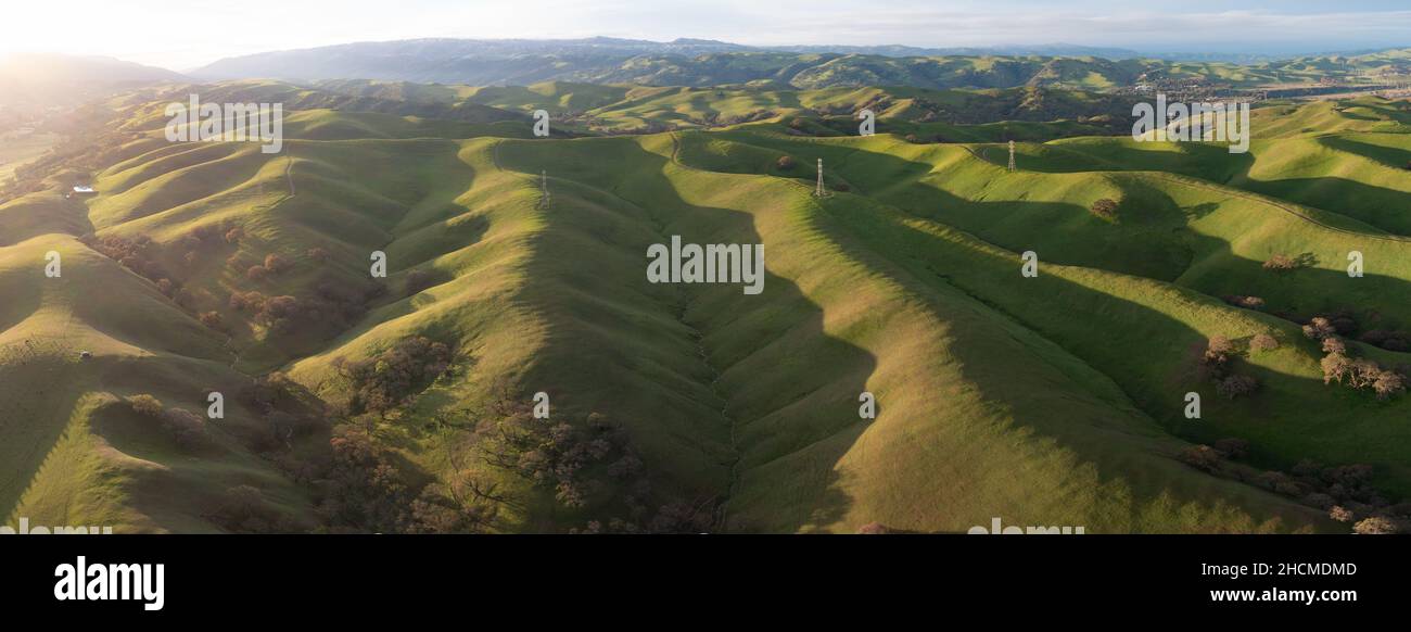 Helles Morgenlicht scheint auf grünen, grasbedeckten Hügeln in der Tri-Valley-Region von Nordkalifornien, östlich der San Francisco Bay. Stockfoto