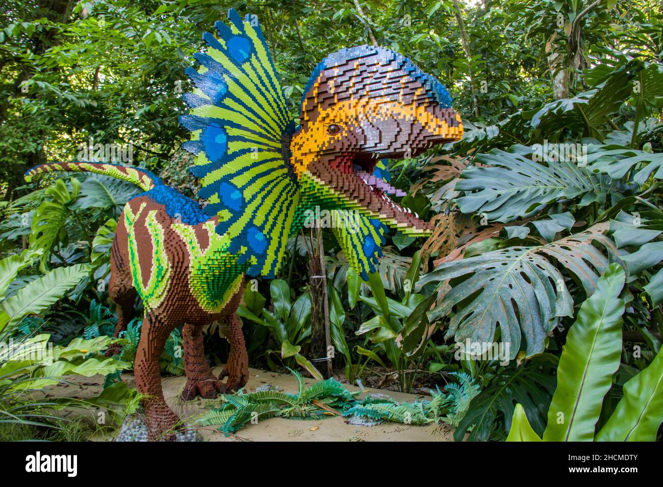 Singapur 21st Dez 2021: Der von LEGO hergestellte Dinosaurier Dilophosaurus im Zoo von Singapur. Eine Gattung von Theropoden-Dinosauriern, die im heutigen Nordamerika lebten Stockfoto