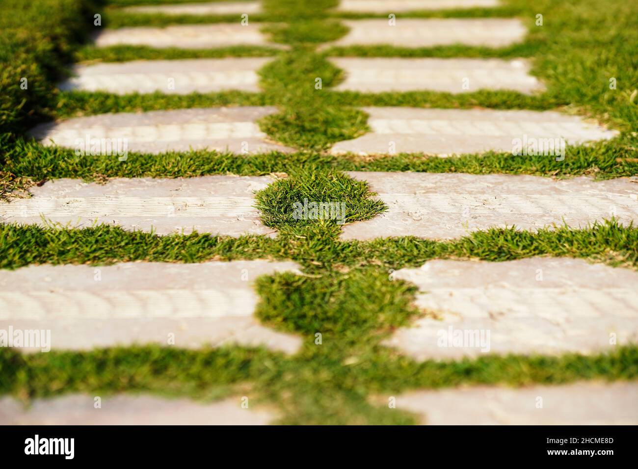 Natürlicher Trittsteinweg auf grünem Gras im Garten. Stockfoto