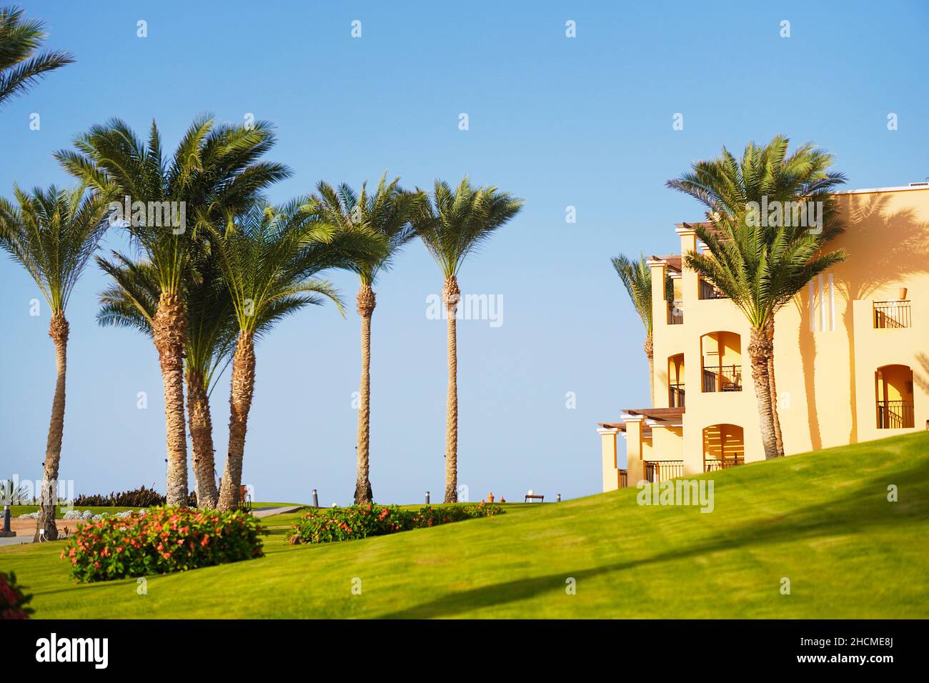 Ferienresort. Luxuriöses ägyptisches Hotel mit Palmen, perfektem grünen Rasen und klarem blauen Himmel. Stockfoto