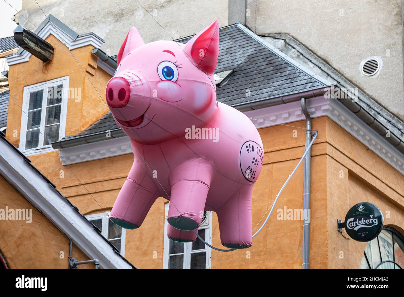 Aufblasbares pinkes Schweinchen über dem Eingang der Bar Den Glade Gris in Kopenhagen, Dänemark Stockfoto