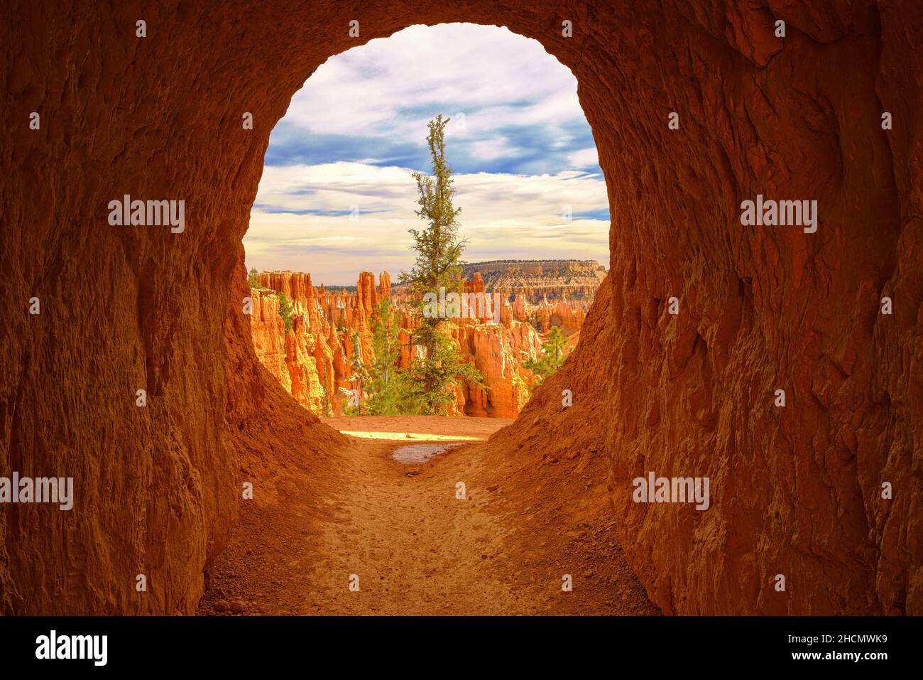 Wunderschöner Bryce Canyon National Park in Utah Stockfoto