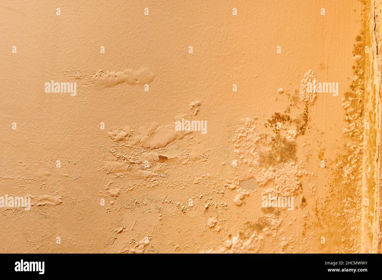 Übermäßige Feuchtigkeit verursacht Schimmel und abblätternde Farbwände, wie z. B. Regenwasserlecks. Stockfoto