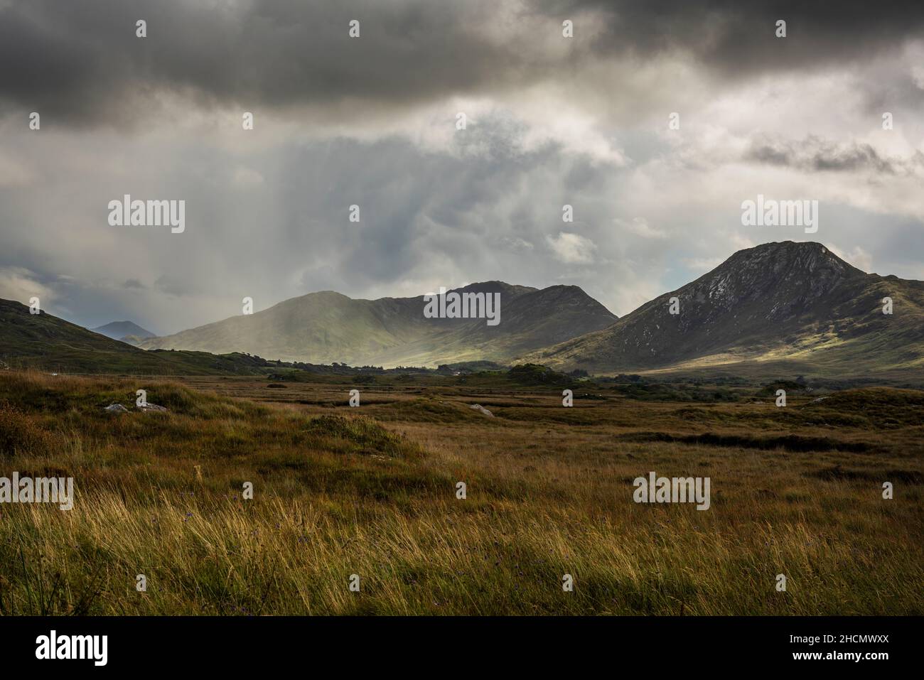 Sonnenstrahlen brechen durch die dunklen Wolken über den grünen, abfallenden Bergen des Connemara-Nationalparks in der Grafschaft Galway in Irland. Ein abgelegenes Gebiet. Stockfoto