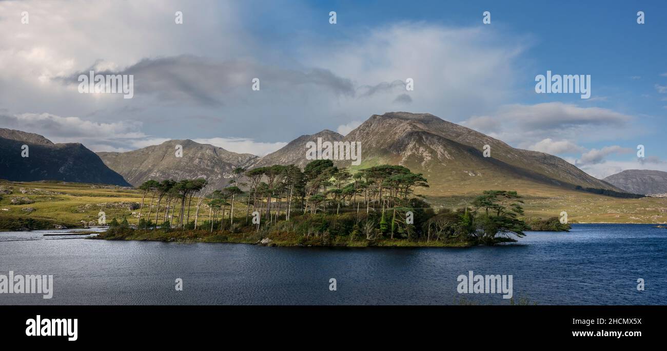 Die ruhige und verödete Pinieninsel in Derrylare Lough in der Gegend des Connemara National Park, Irland. Ein häufig fotografiertes Motiv in Irland. Stockfoto
