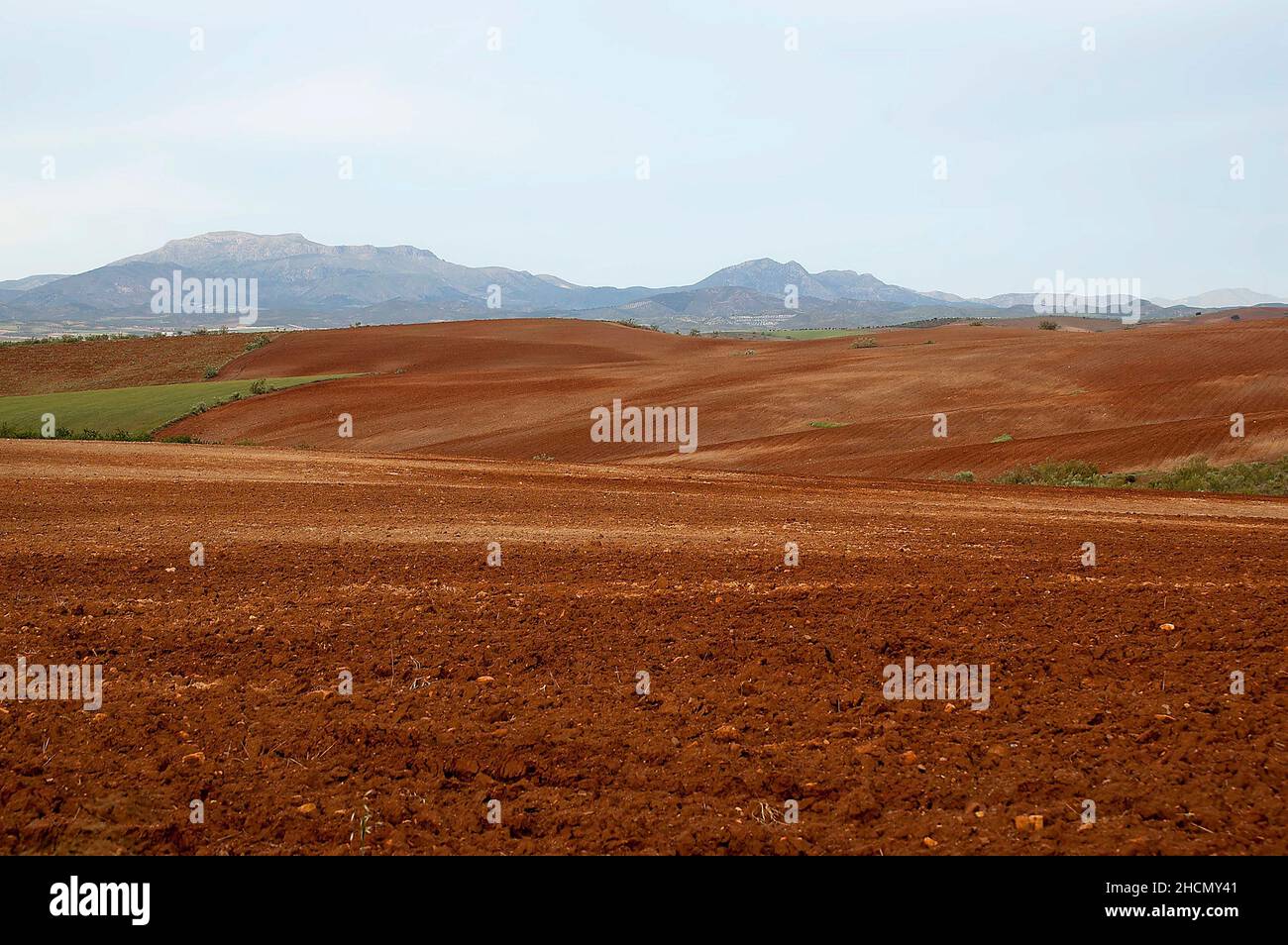 Naturpark Sierra de Baza in Granada, Andalusien - Spanien. Stockfoto