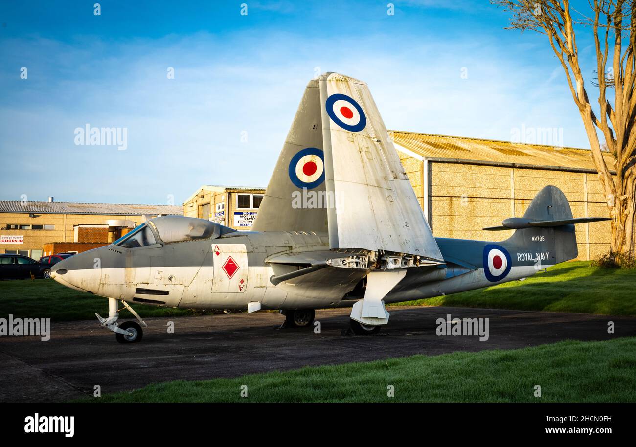 British Hawker Sea Hawk FGA6 gefaltet Flügel Jet-Kampfflugzeug mit der Nummer WV795 auf der Ausstellung in Dunsfold Aerodrome, Surrey, Großbritannien. Stockfoto