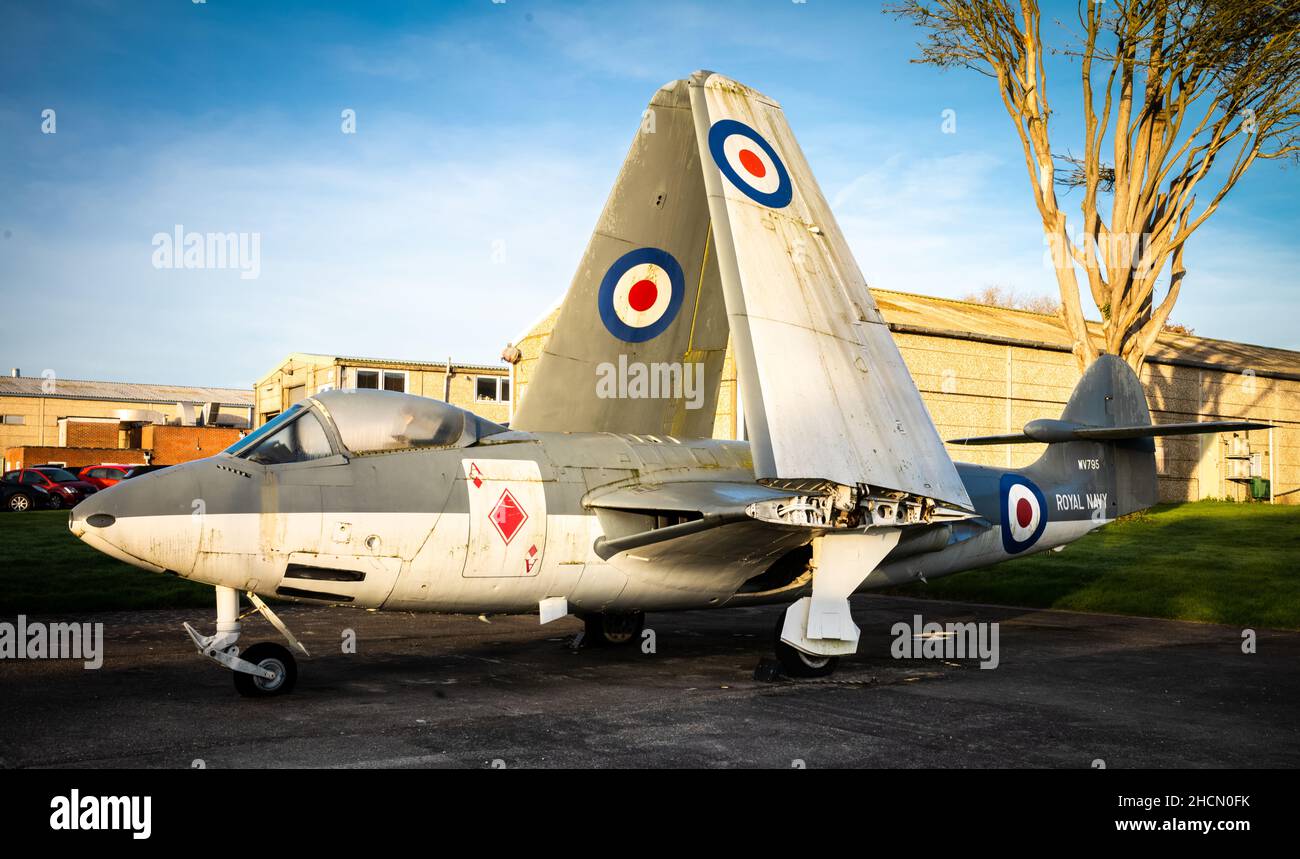 British Hawker Sea Hawk FGA6 gefaltet Flügel Jet-Kampfflugzeug mit der Nummer WV795 auf der Ausstellung in Dunsfold Aerodrome, Surrey, Großbritannien. Stockfoto