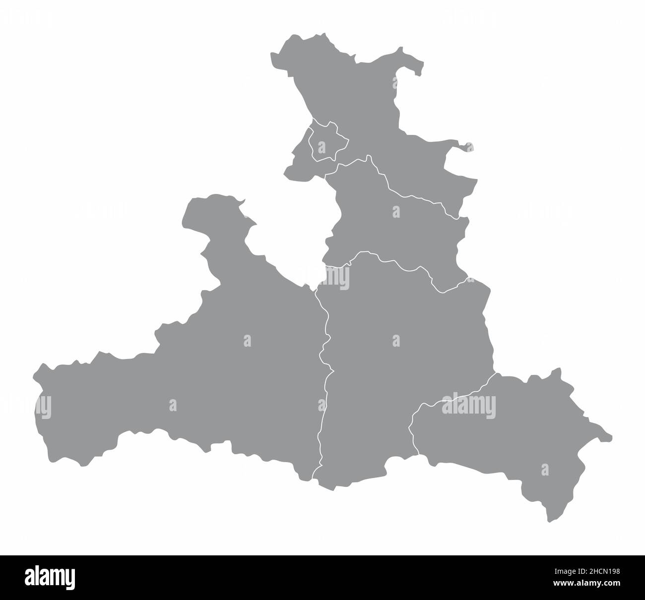 Salzburger Landesverwaltungskarte isoliert auf weißem Hintergrund, Österreich Stock Vektor