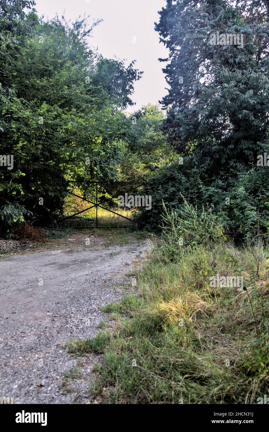Tor blockiert einen Feldweg in einem Hain bei Sonnenuntergang Stockfoto