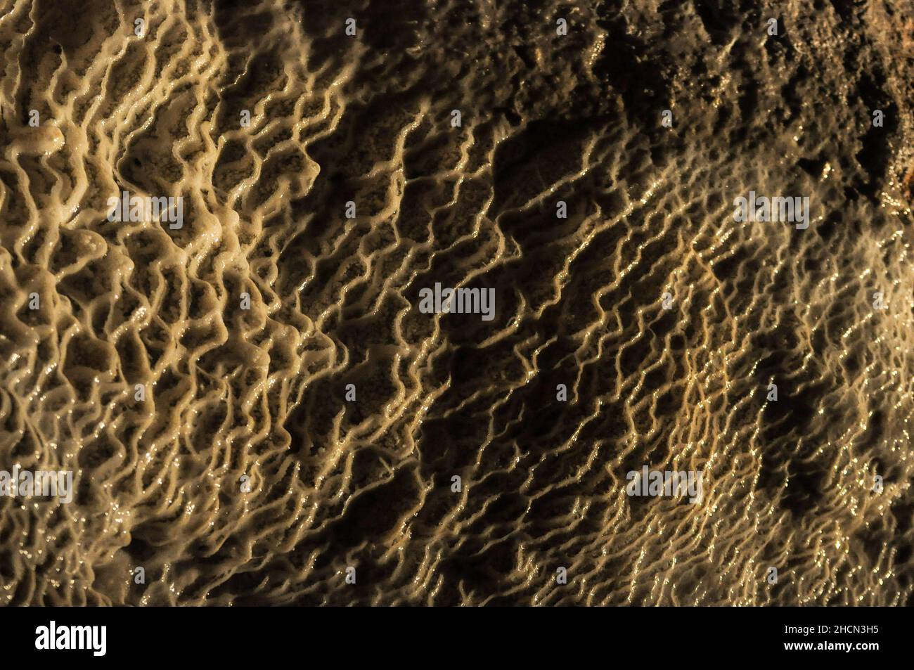 Details von wassererzeugten Texturen auf Felsen in den Jenolan Caves, Australien Stockfoto