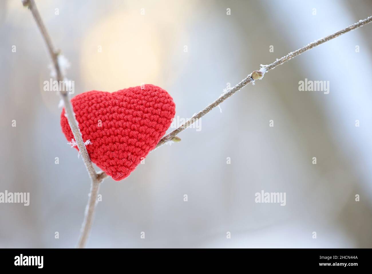 Rot gestricktes Liebesherz auf einem mit Schnee und Frost bedeckten Baumzweig im Winterwald. Valentinskarte, Hintergrund für Weihnachtsfeier Stockfoto