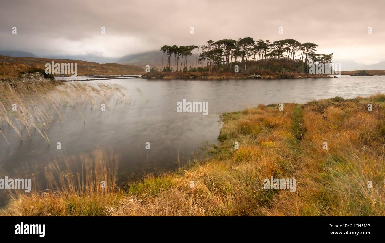 Derryclare Island Stockfoto