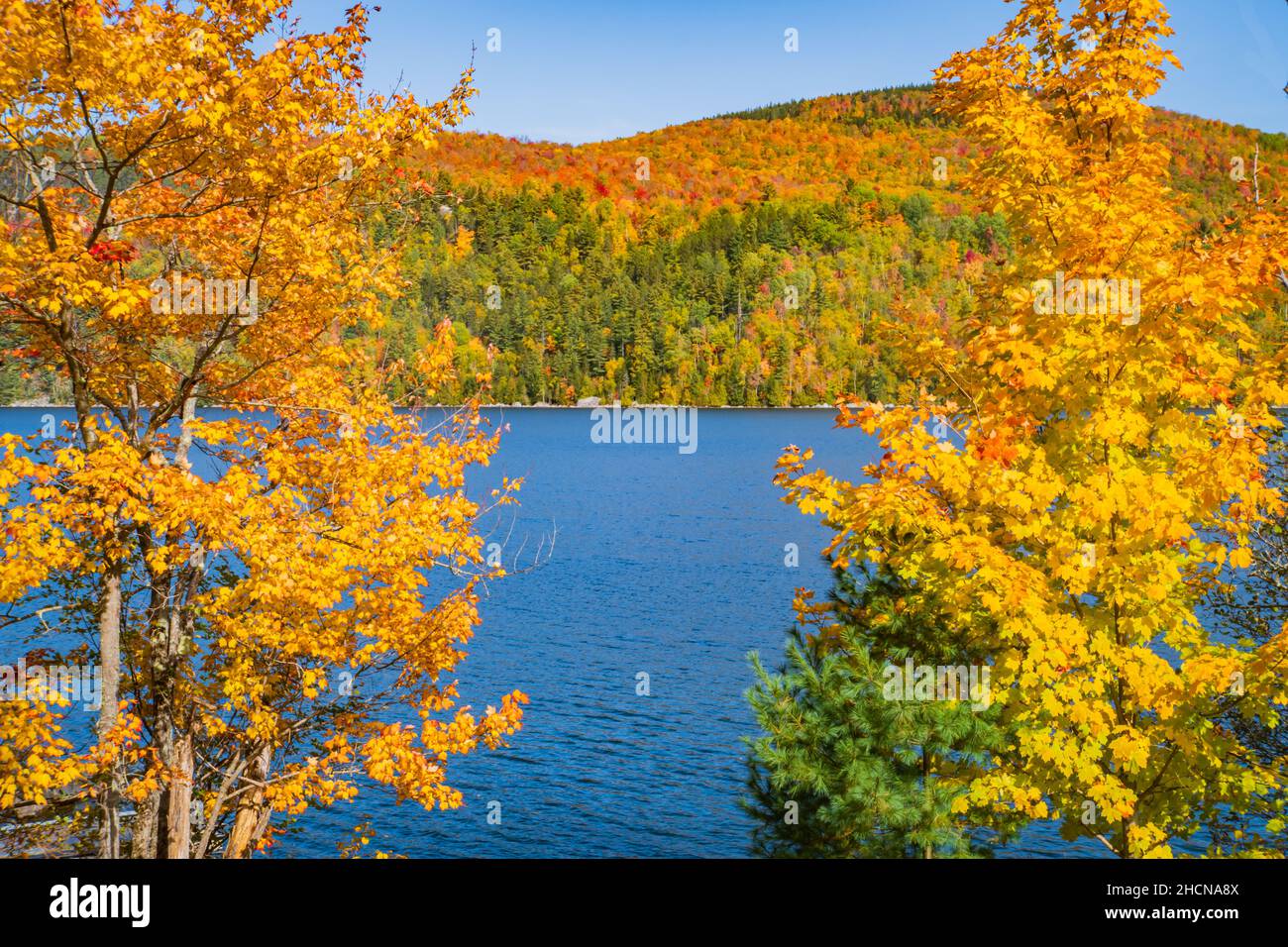 Blick auf den Crystal Lake in der herbstlichen Landschaft von Vermont Stockfoto