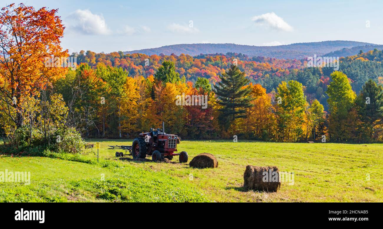 Heuballen und alter Traktor auf dem Feld mit den hellen Herbstfarben im Wald im Hintergrund Stockfoto