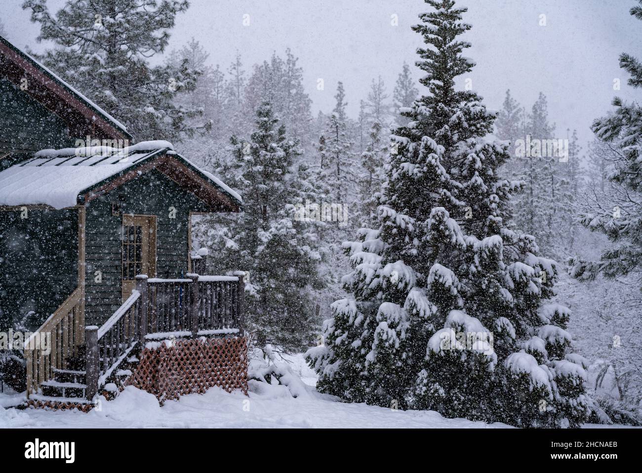 Haus im fallenden Schnee. Oregon, Ashland, Winter Stockfoto