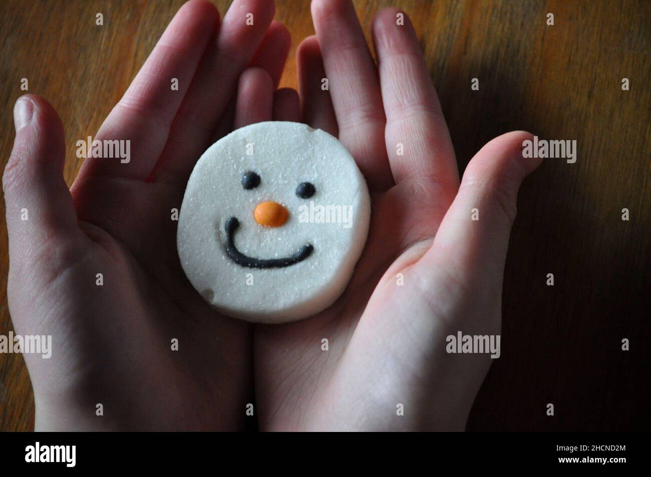 Ein Schneemann steht vor einem Sumpftier, der in den offenen Händen eines Kindes vor einem hölzernen Hintergrund ruht Stockfoto