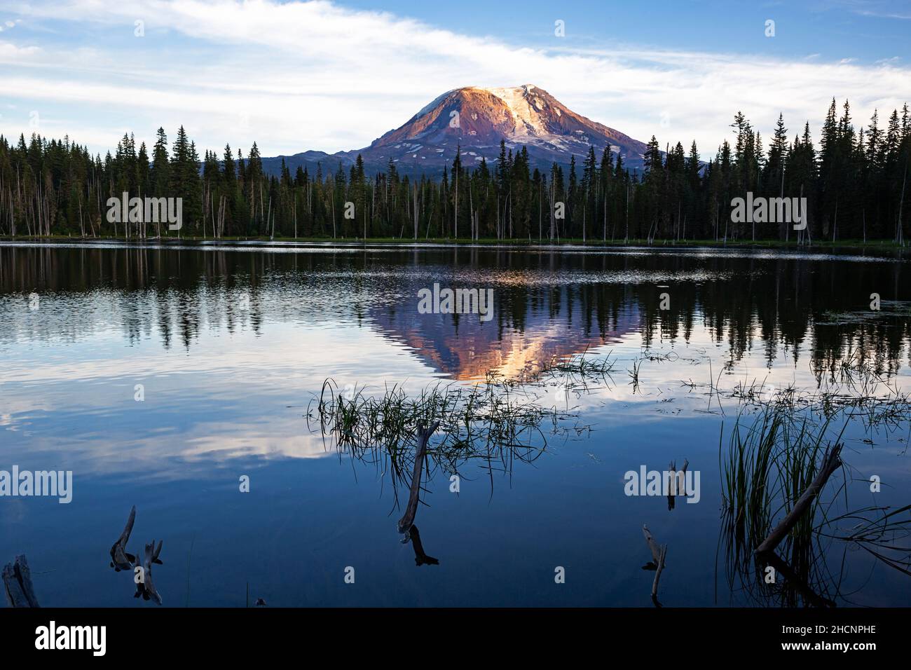 WA19951-00...WASINTON - Sonnenuntergang auf Mount Adams, der sich im ruhigen Wasser des Horseshoe Lake im Gifford Pinchot National Forest widerspiegelt. Stockfoto