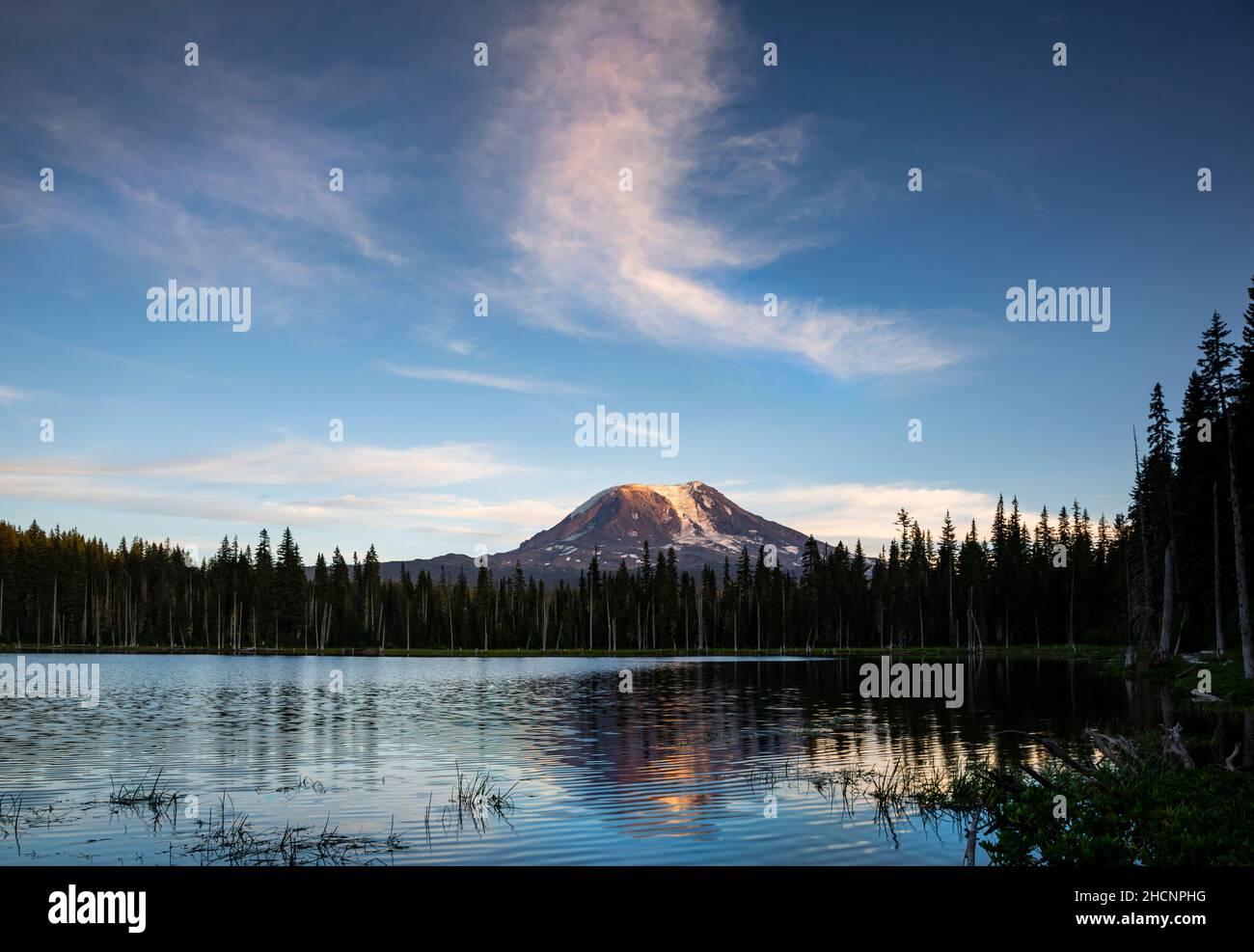 WA19953-00...WASINTON - Sonnenuntergang auf Mount Adams, der sich im ruhigen Wasser des Horseshoe Lake im Gifford Pinchot National Forest widerspiegelt. Stockfoto