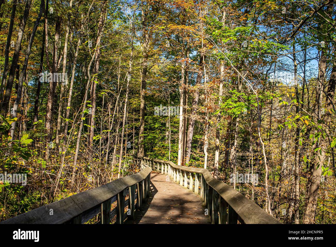 Der Brandywine Gorge Trail während der Herbstfärbung im Cuyahoga Valley National Park zwischen Cleveland und Akron, Ohio. Stockfoto