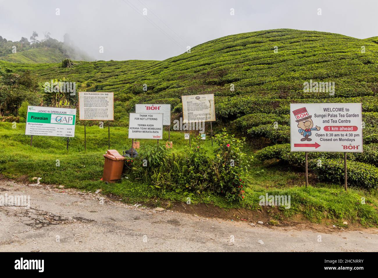 CAMERON HIGHLANDS, MALAYSIA - 28. MÄRZ 2018: Verschiedene Schilder auf einer Teeplantage in den Cameron Highlands, Malaysia Stockfoto