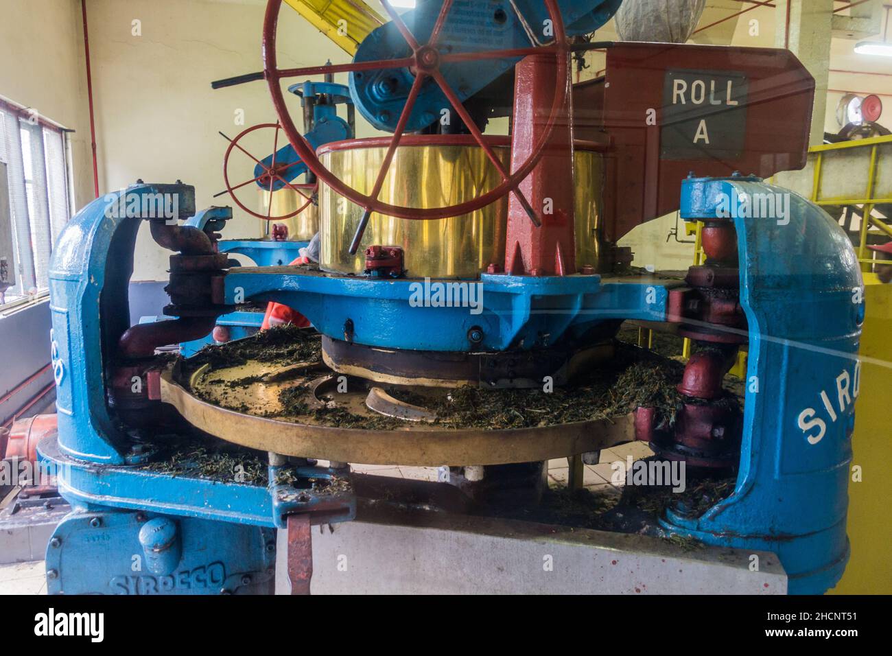 CAMERON HIGHLANDS, MALAYSIA - 28. MÄRZ 2018: Walzmaschine des BOH Tea Center in den Cameron Highlands, Malaysia Stockfoto