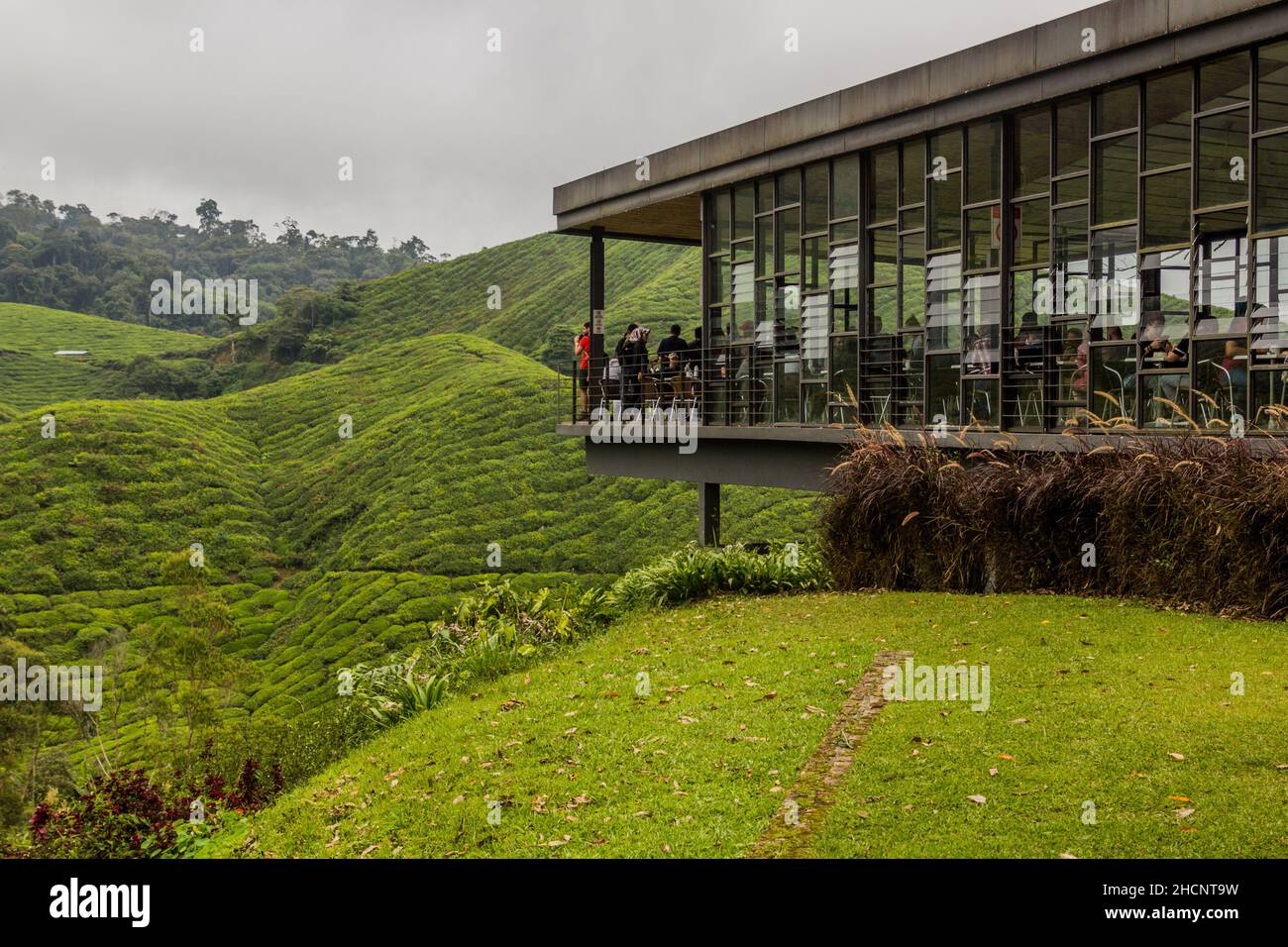 CAMERON HIGHLANDS, MALAYSIA - 28. MÄRZ 2018: Terrasse des BOH Tea Center in den Cameron Highlands, Malaysia Stockfoto
