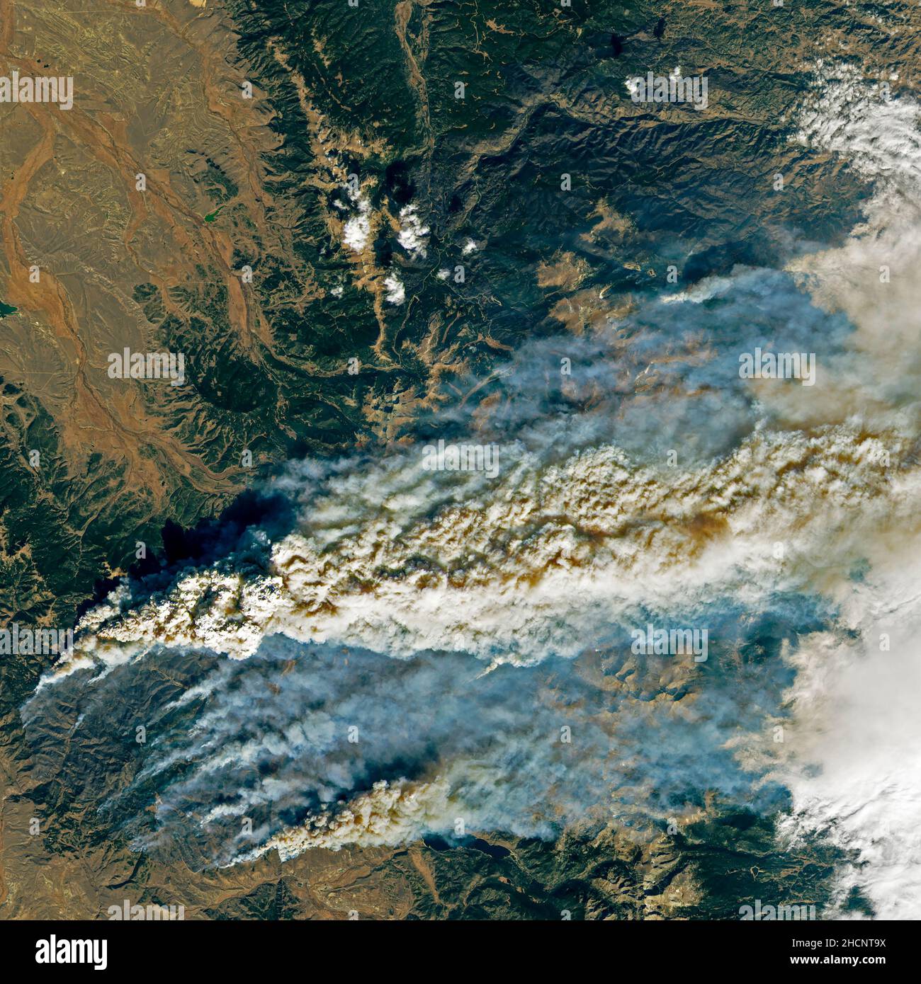 Ostbeschwerliches Feuer im Norden von Zentral-Colorado im Jahr 2020 Stockfoto