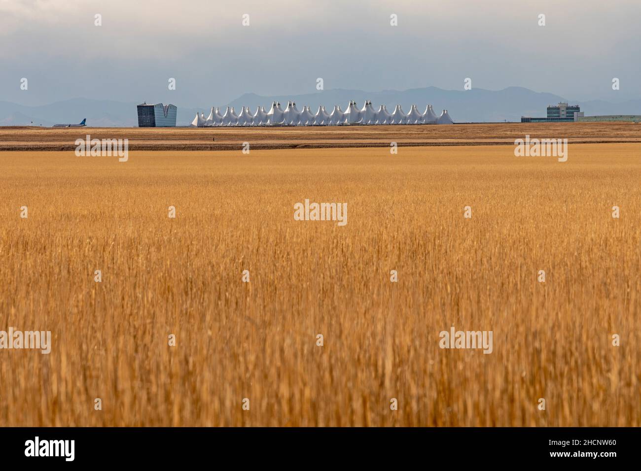 Denver, Colorado - das Passagierterminal des Denver International Airport, von der Prärie östlich des Flughafens aus gesehen. Stockfoto