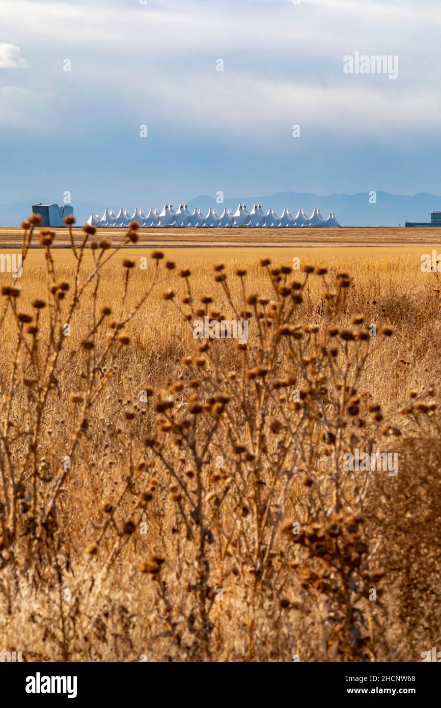 Denver, Colorado - das Passagierterminal des Denver International Airport, von der Prärie östlich des Flughafens aus gesehen. Stockfoto