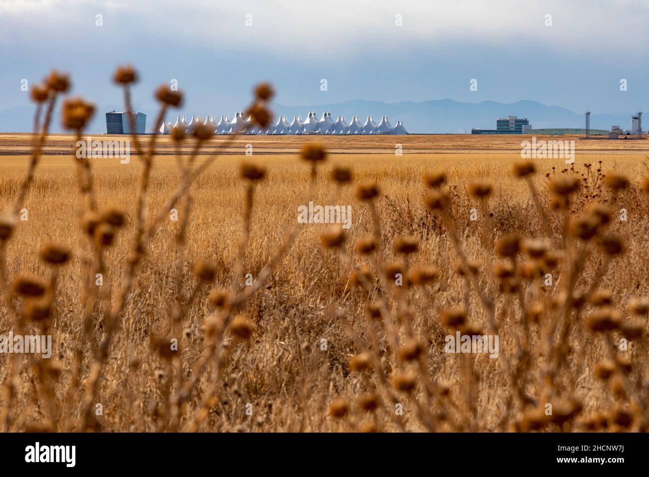Denver, Colorado - das Passagierterminal des Denver International Airport, von der Prärie östlich des Flughafens aus gesehen. Stockfoto