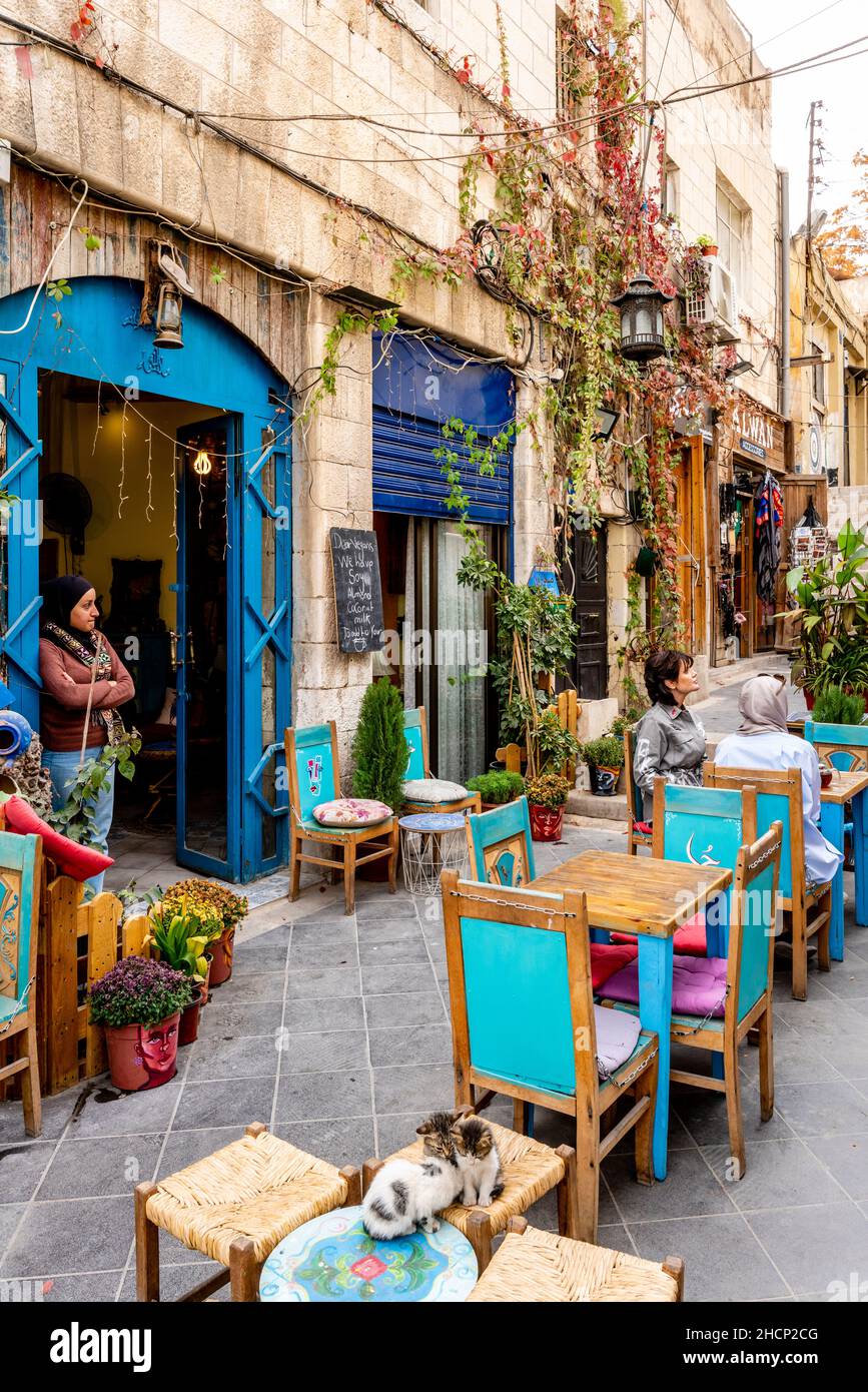 Drei Kätzchen, die vor Einem Café in der Innenstadt von Amman, Amman, Jordanien, sitzen. Stockfoto