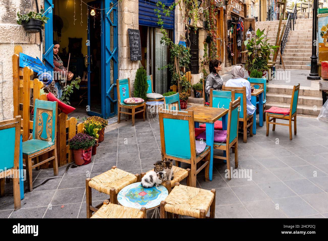 Drei Kätzchen, die vor Einem Café in der Innenstadt von Amman, Amman, Jordanien, sitzen. Stockfoto