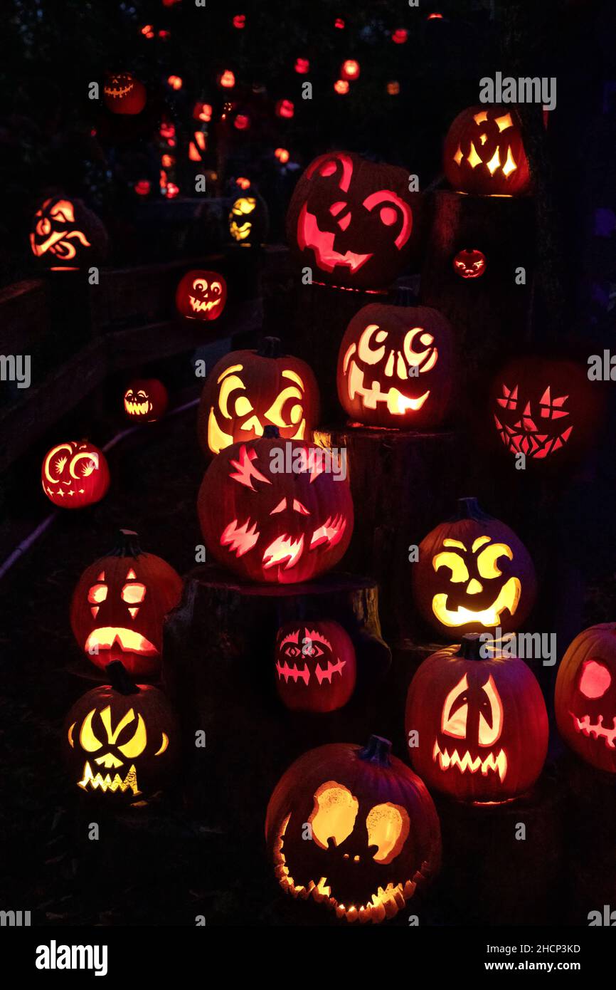 Verschiedene geschnitzte Kürbisse bei der Jack-O-Lantern Spectacular in Providence, Rhode Island Stockfoto