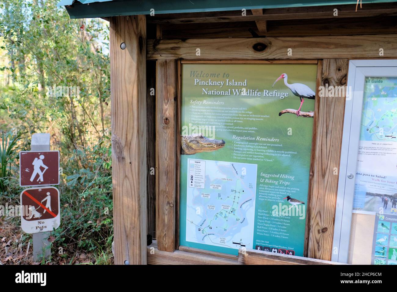 Pinckney Island National Wildlife Refuge in Hilton Head, South Carolina; ein Natur- und Waldschutzgebiet, das vom Savannah Coastal Refuges Complex verwaltet wird. Stockfoto