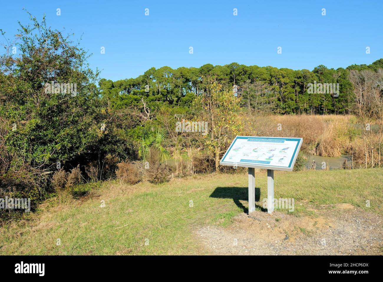 Pinckney Island National Wildlife Refuge in Hilton Head, South Carolina; ein Natur- und Waldschutzgebiet, das vom Savannah Coastal Refuges Complex verwaltet wird. Stockfoto