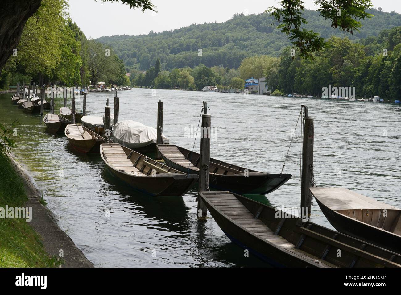 Holzboote namens Weidling in deutscher Sprache liegen in einer Reihe am Rheinufer in Schaffhausen, Schweiz. Stockfoto