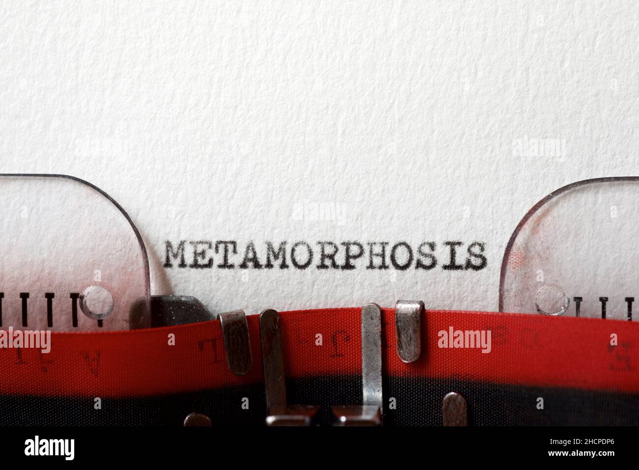 Das Wort Metamorphose geschrieben mit einer Schreibmaschine. Stockfoto