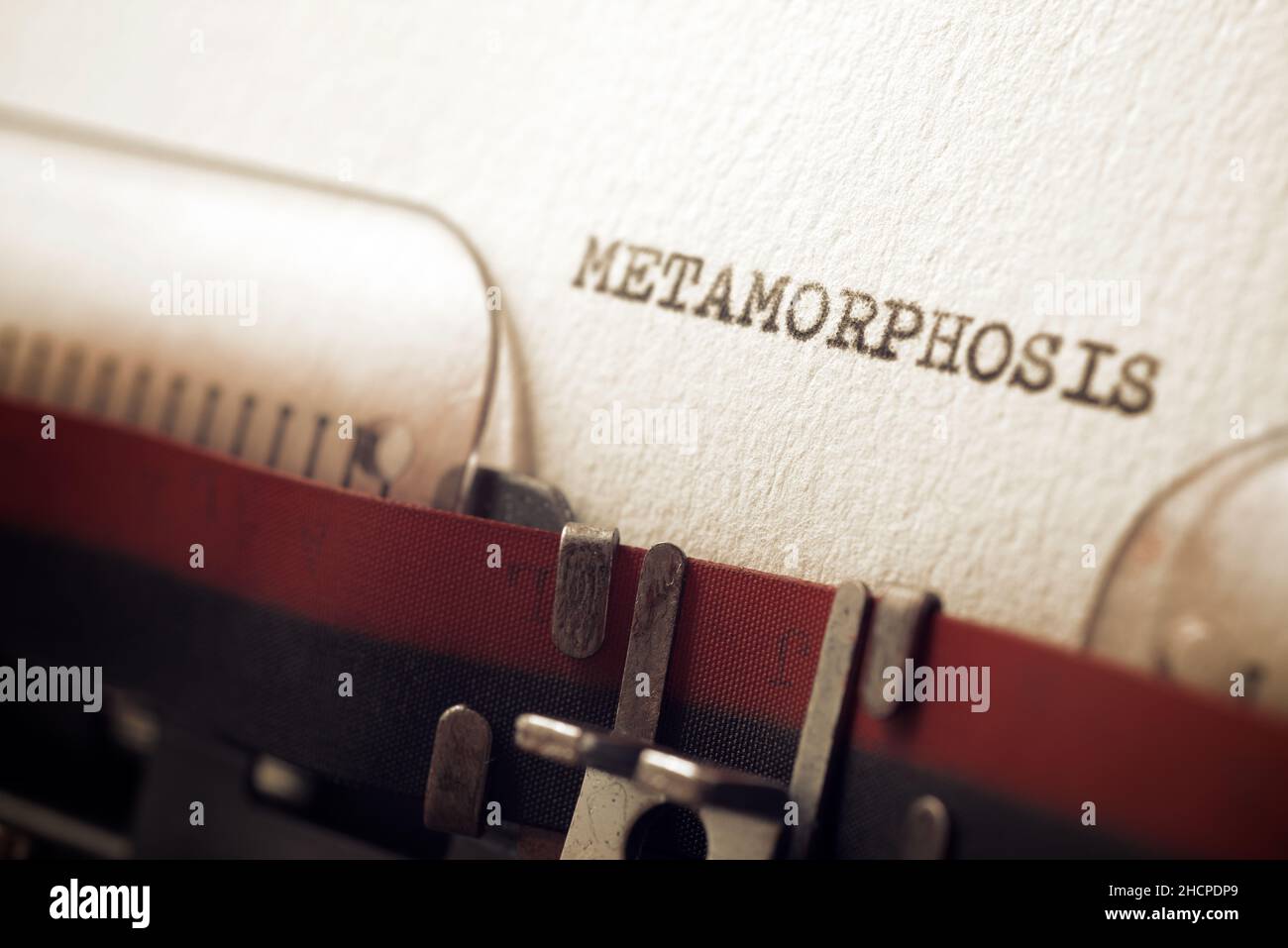 Das Wort Metamorphose geschrieben mit einer Schreibmaschine. Stockfoto