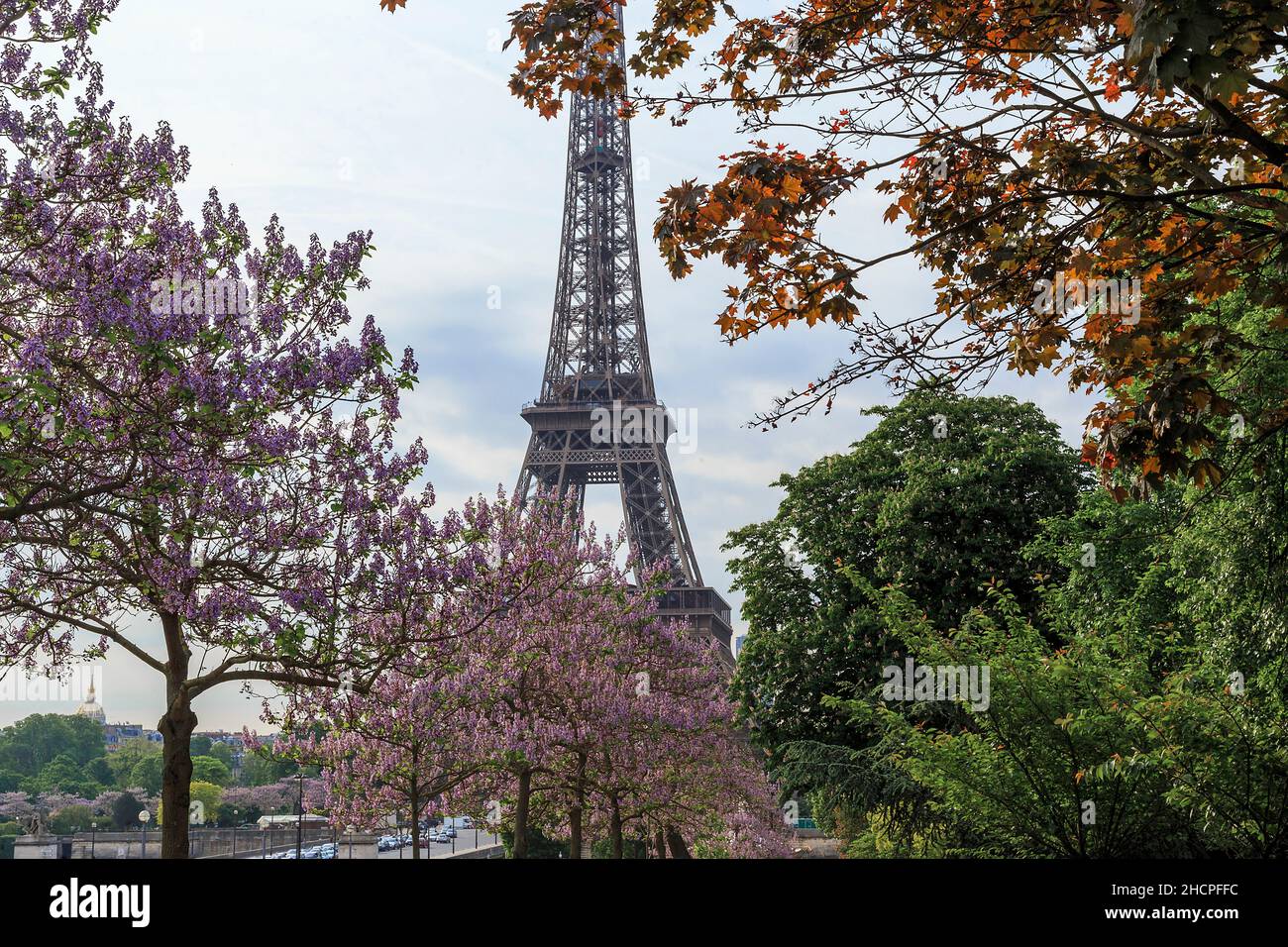 PARIS, FRANKREICH - 12. MAI 2015: Der Trocadero-Garten ist ein Garten im englischen Stil, der auf beiden Seiten des Palais de Chaillot stattfand. Stockfoto