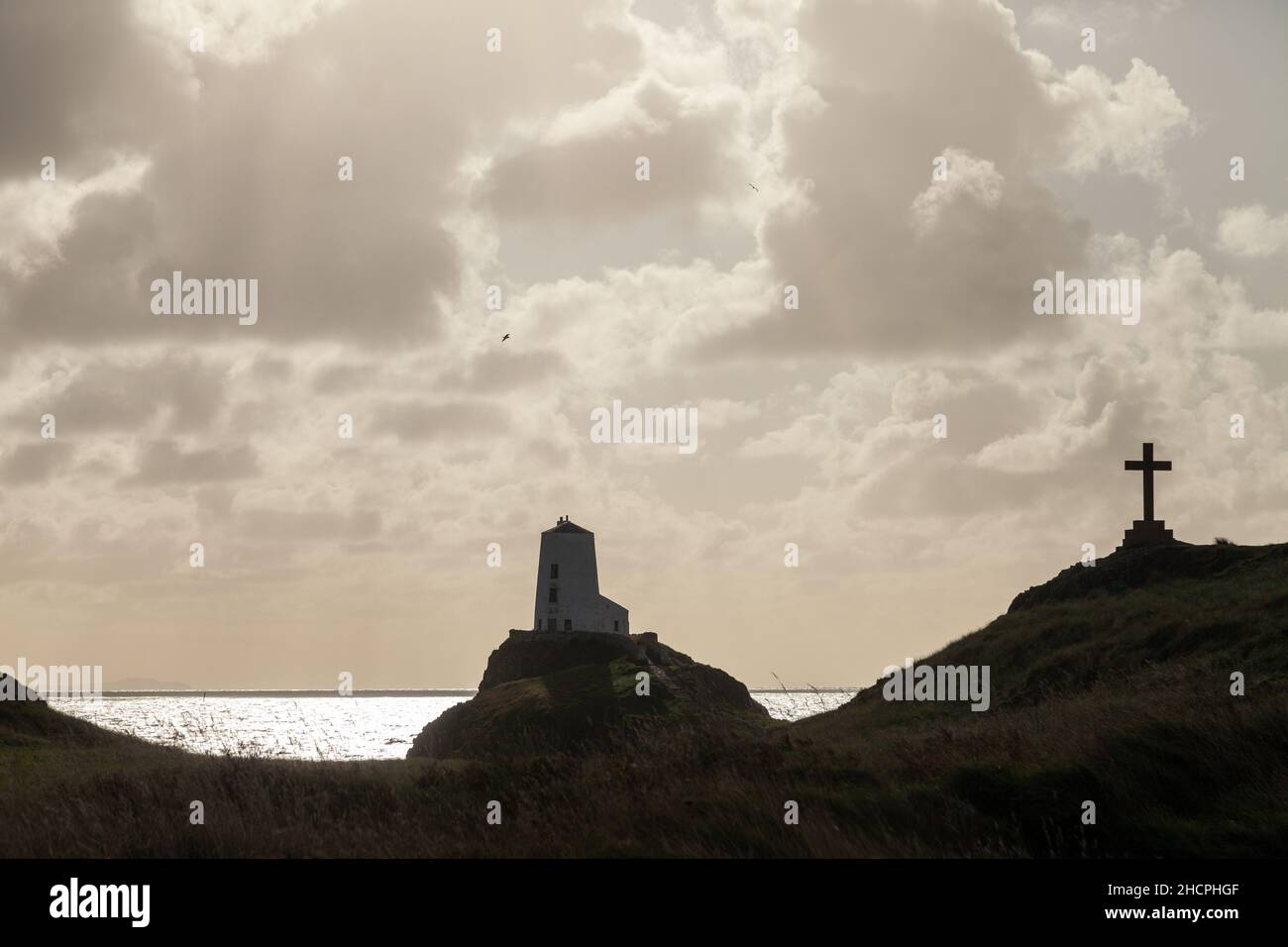 St Dwynwen Stone Cross und der alte Leuchtturm Twr Mawr Leuchtturm auf Llanddwyn Island Stockfoto