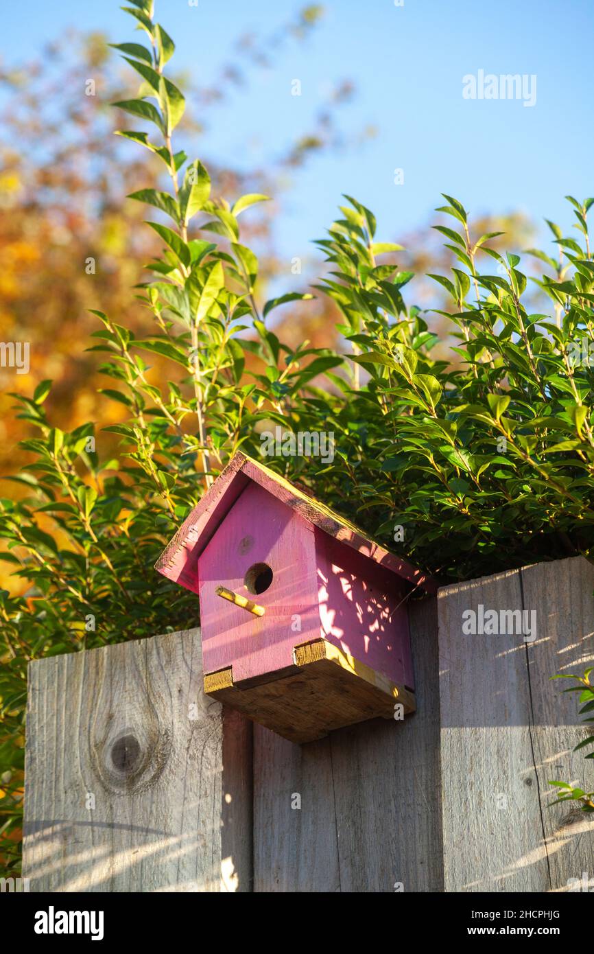 Ein rosa bemalter Vogelkäfig aus Holz gegen einen Holzzaun Stockfoto