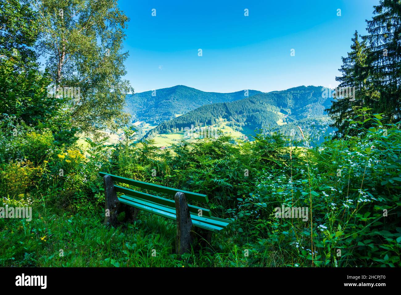 Deutschland, Schwarzwald-Panoramablick in Naturlandschaft Tourismus Wanderregion am Waldrand hinter einer Bank zur Ruhe Stockfoto