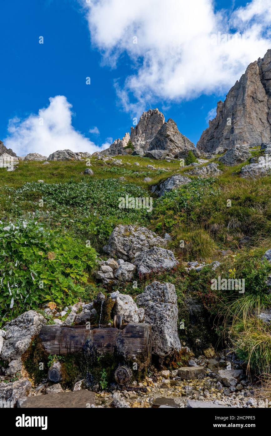 Vertikale Aufnahme einer grünen Schlucht mit großen Klippen am Gipfel in den Dolomiten, Italien Stockfoto