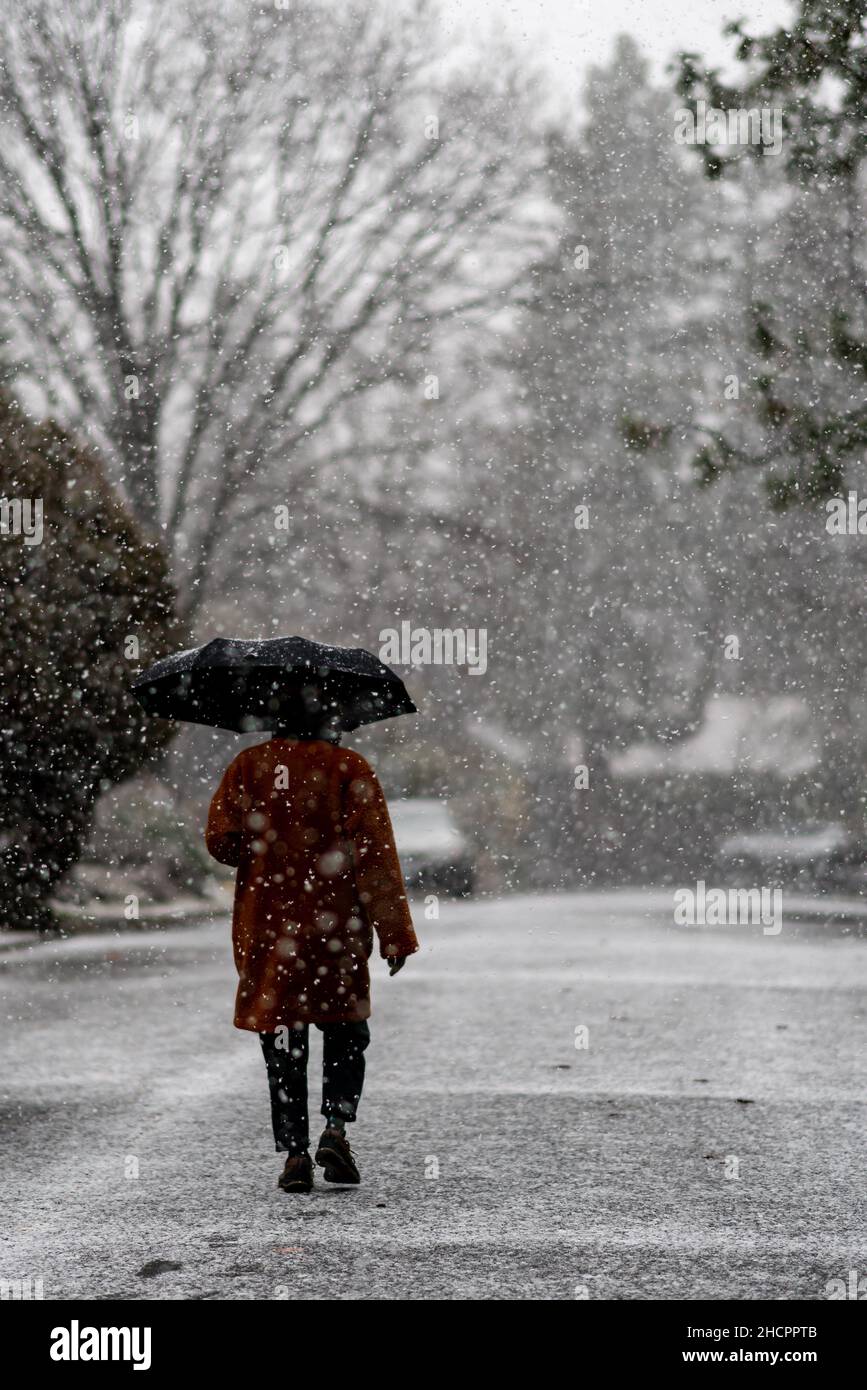 Regenschirm in einem Schneesturm. Oregon, Ashland, Winter Stockfoto