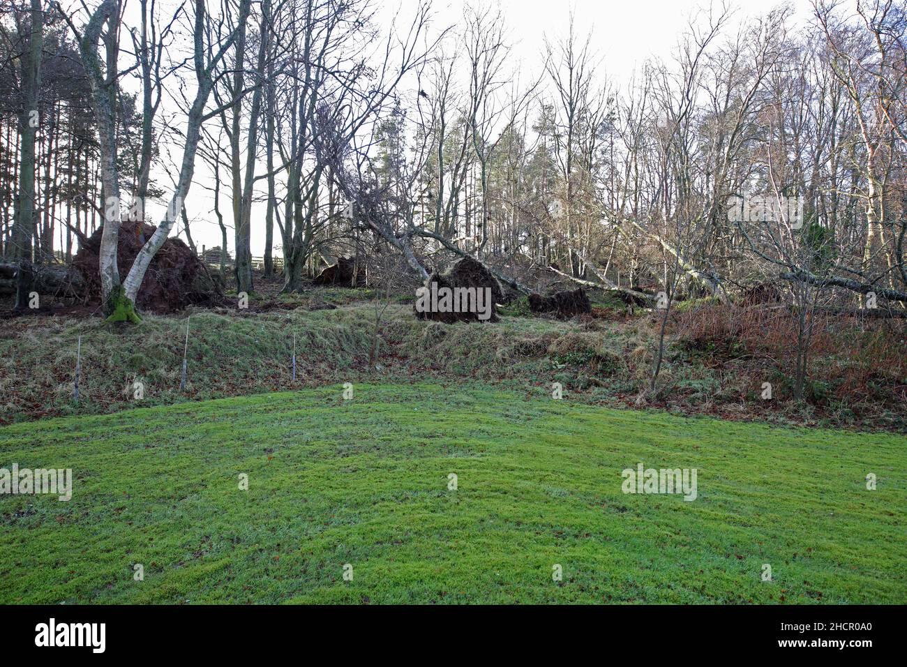 Nach dem Sturm.Scottish Borders. Stockfoto