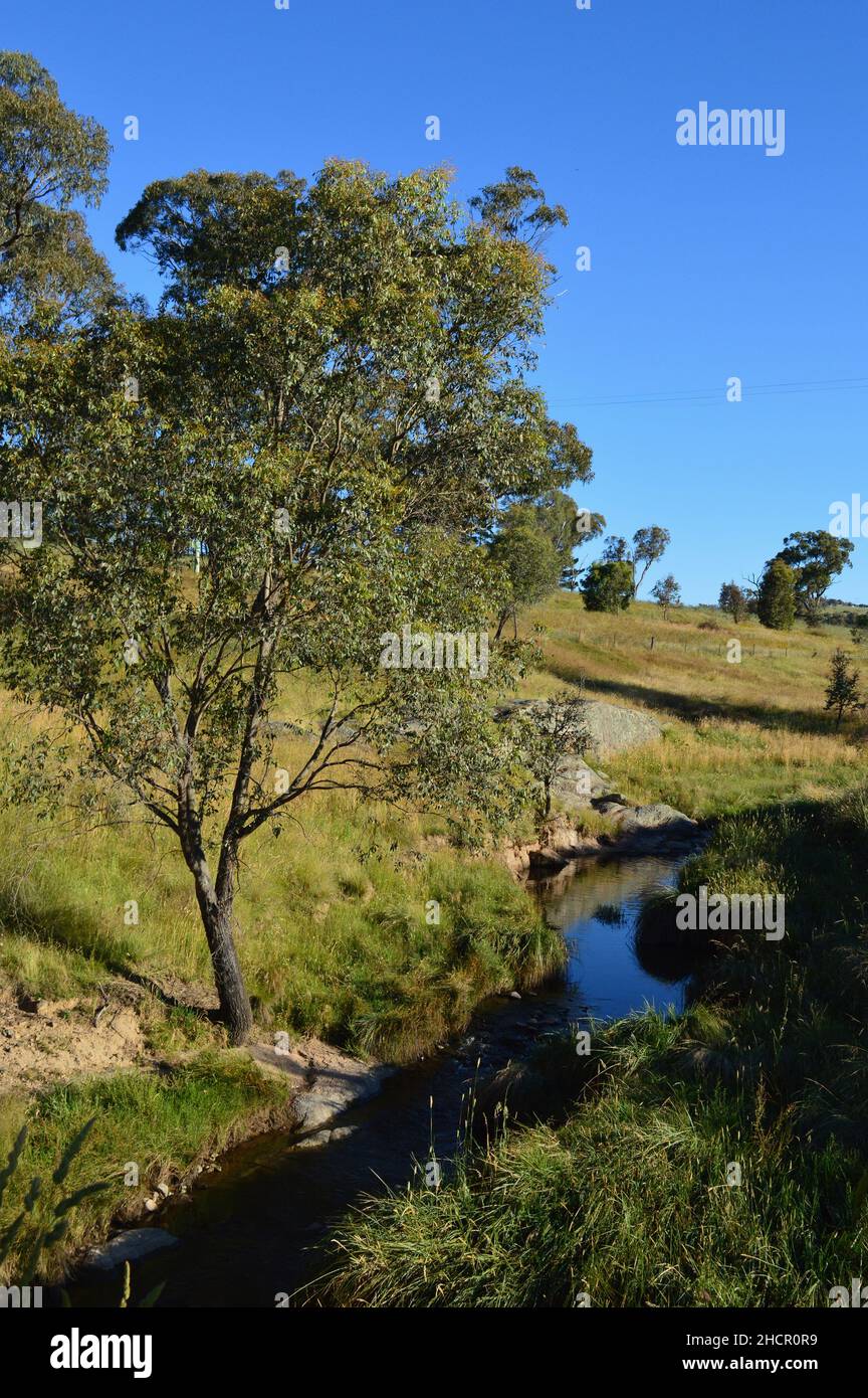 Ein Blick auf Snake Valley Creek im ländlichen Australien Stockfoto