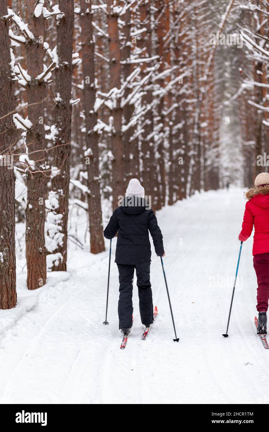 Zwei Mädchen in einer schwarz-roten Jacke fahren im Winter in einem verschneiten Wald auf einer Skipiste. Bäume in einer Reihe... Rückansicht. Skifahren in einer schönen sn Stockfoto