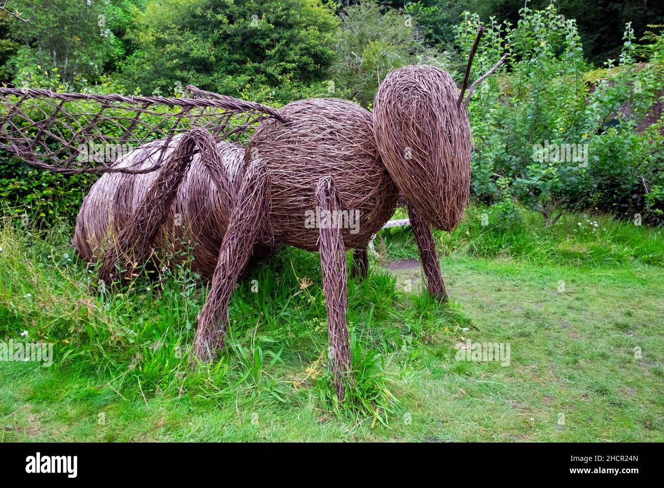 Bella die Bienenweide Skulptur von melie Bastier im ummauerten Garten der Colby Woodland Gardens Amroth Pembrokeshire Wales UK KATHY DEWITT Stockfoto