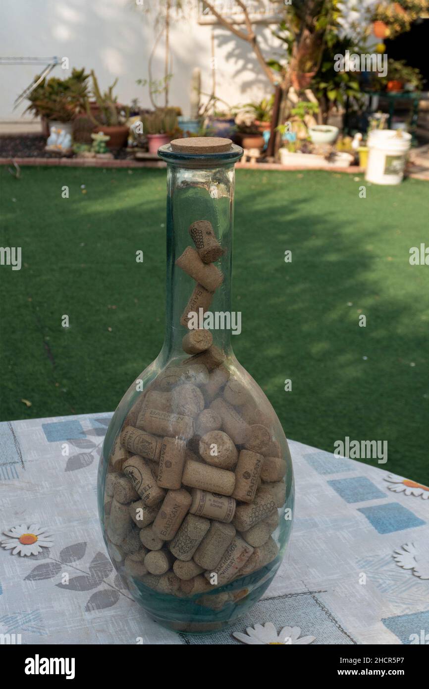 Eine große Flasche, die auf dem Tisch im Garten steht, ist bis zum Hals voll mit Weinkorken Stockfoto
